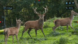 ATN-BINOX-4K-VISION-NOCTURNA-LASER-RANGEFINDER-Armicaza-ULTRA-HD-SENSOR-WITH-ULTRA-HD-OPTICS-Day-Mode-300x169 Tienda de Caza - Tu coto