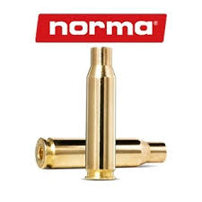 descarga-25 Vainas Cal. 45 para Sharp (5 Unid) (copia)